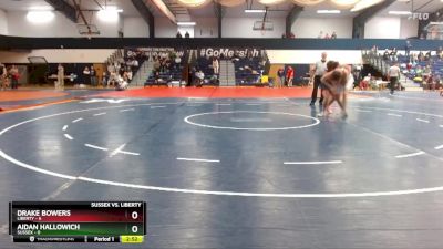 165 lbs Finals (2 Team) - Drake Bowers, Liberty vs Aidan Hallowich, Sussex