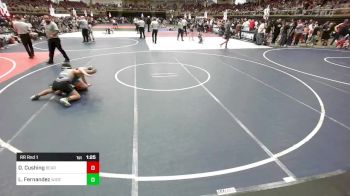 106 lbs Rr Rnd 1 - Daisy Cushing, Bear Creek Jr. Wrestling vs Leno Fernandez, Widefield WC