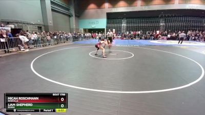 106 lbs Cons. Round 7 - Liam Shepherd, Burns vs Micah Roschmann, Roseville