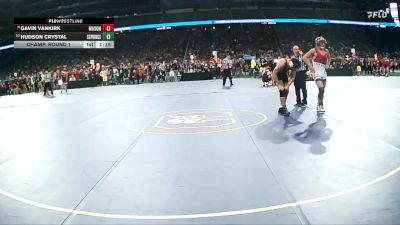 D2-165 lbs Champ. Round 1 - Gavin Vankirk, Mason HS vs Hudson Crystal, Cedar Springs HS