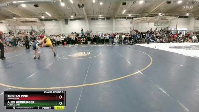 106 lbs Champ. Round 3 - Tristan Pino, Sand Creek vs Alex Herburger, Pueblo East