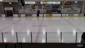 Replay: Home - 2024 Cougars U18 AAA vs Chiefs U18 AAA | Dec 20 @ 7 PM