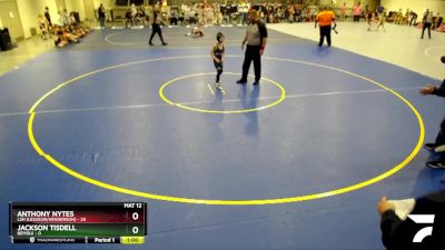 70 lbs Semis (4 Team) - Anthony Nytes, LSH (LeSueur/Henderson) vs Jackson Tisdell, Bemidji