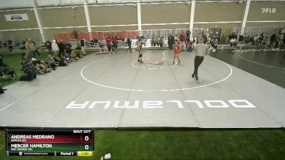 93-101 lbs Semifinal - Mercer Hamilton, Mat Demon WC vs Andreas Medrano, Suples WC