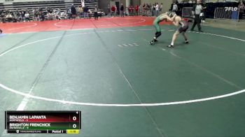 115 lbs Semis (4 Team) - Benjamin LaPanta, Northfield vs Brighton Frenchick, Paynesville