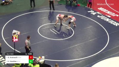 192 lbs Consi Of 32 #2 - Dominic Andreolli, Chartiers Houston vs Homer Headlee, Beth Center