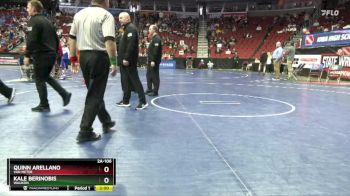 2A-106 lbs Cons. Round 4 - Quinn Arellano, Van Meter vs Kale Berinobis, Waukon