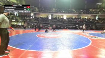 157-4A Quarterfinal - Nathan Cates, Woodland, Cartersville vs Dylan Naish, Centennial