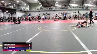 100 lbs Round 1 - Kinley Harker, Angry Fish Wrestling vs Kylee Whalan, Missouri