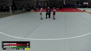 45 lbs Quarterfinals (8 Team) - Landon Fendrich, Maple River/USC vs Camdyn Elfmann, ANML