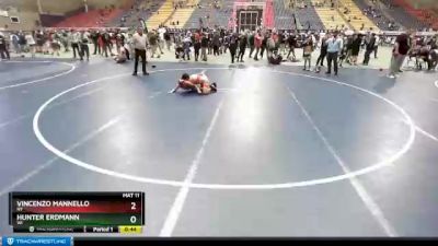 82 lbs Quarterfinal - Vincenzo Mannello, NY vs Hunter Erdmann, WI