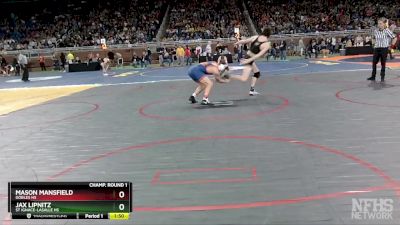 D4-157 lbs Champ. Round 1 - Mason Mansfield, Gobles HS vs Jax Lipnitz, St Ignace-LaSalle HS