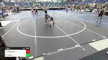 73 lbs Semifinal - Roxann Allsworth, Duran Elite vs Robert Green, Silverback WC