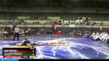 106 lbs Semis & 1st Wrestleback (8 Team) - Alex Hornyak, Waverly - Shell Rock vs Donoven Sorenson, Owatonna