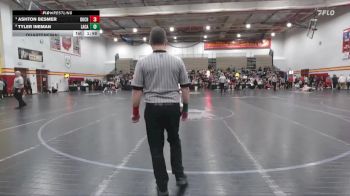 138 lbs Quarterfinal - Ashton Besmer, Buchanan vs Tyler Ineman, Lake Catholic