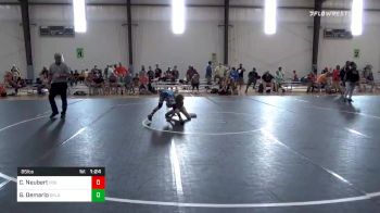 85 lbs Quarterfinal - Carson Neubert, Fox Valley Elite vs Graeden Demario, Oklahoma