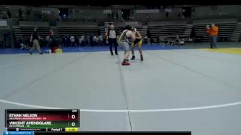 215 lbs Finals (8 Team) - Vincent Amendolare, Hutchinson vs Ethan Nelson, NLS (New London/Spicer)