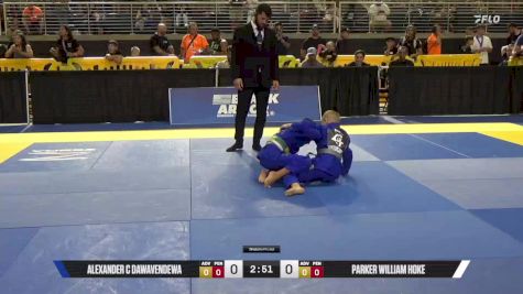 Parker William Hoke vs Alexander C Dawavendewa 2025 Pan Kids Jiu-Jitsu IBJJF Championship