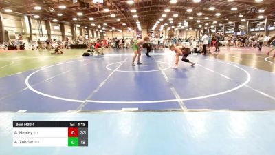 195 lbs Rr Rnd 1 - Aidan Healey, Sly Fox Wrestling Club vs Ashton Zobrist, Illinois Cornstars - Cartman