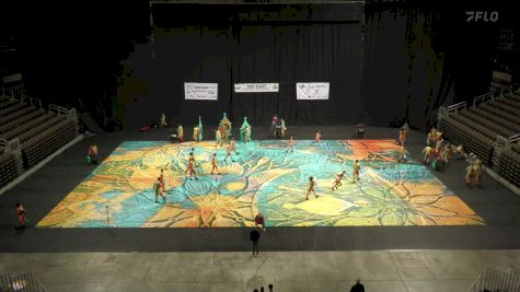 Daviess County HS "Owensboro KY" at 2025 WGI Perc/Winds Mideast Power Regional