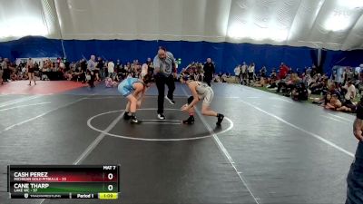 110 lbs Round 4 (6 Team) - Cash Perez, Michigan Gold Pitbulls vs Cane Tharp, Lake WC