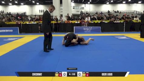 Oozie Ligus vs Paulo Roberto Oliveira De Castro 2025 World IBJJF Jiu-Jitsu No-Gi Championship