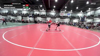 126 lbs Consi Of 32 #1 - Cole Blaney, Wantagh vs Bradley Munoz, Petrides