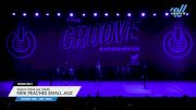 Peach State All Stars - Mini Peaches Small Jazz [2024 Mini - Jazz - Small Day 1] 2024 GROOVE Dance Grand Nationals