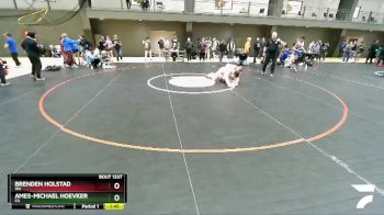 138 lbs 3rd Place Match - Brenden Holstad, WA vs Ames-Michael Hoevker, CA