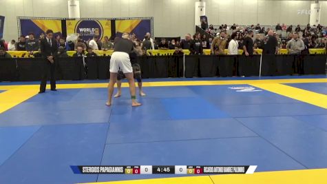 Ricardo Antonio Ramirez Palomino vs Stergios Papagiannis 2024 World IBJJF Jiu-Jitsu No-Gi Championship