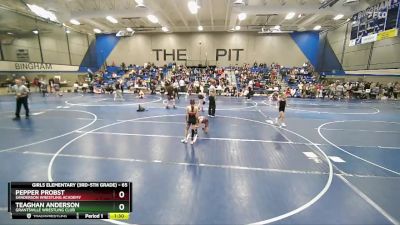 65 lbs Round 1 - Pepper Probst, Sanderson Wrestling Academy vs Teaghan Anderson, Grantsville Wrestling Club