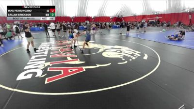 110-110 lbs Round 3 - Jake Petrungaro, Glenbrook South vs Callan Erickson, Minnewaska