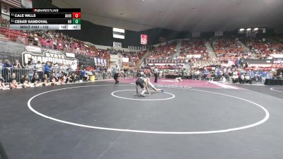 132 lbs Cons. Round 1 - Cale Wills, Augusta HS vs Cesar Sandoval, Holton HS