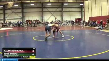 141 lbs Cons. Round 2 - CJ Christopher Shea, Wesleyan University (Connecticut) vs Peter Tringali, Roger Williams University