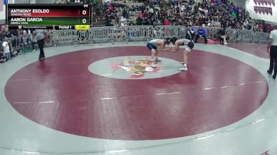 113 lbs Quarterfinal - Anthony Esoldo, Shadow Ridge vs Aaron Garcia, Sierra Vista