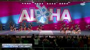 Liberty All Stars - Lady Liberty [2025 L3 Junior - D2 - Small Day 2] 2025 Aloha Gatlinburg Showdown