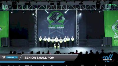 Senior Small Pom [2022 Senior - Pom - Small Day 2] 2022 CSG Schaumburg Dance Grand Nationals