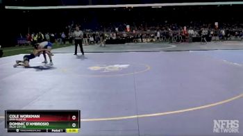 D3-138 lbs Cons. Semi - Dominic D`Ambrosio, Imlay City HS vs Cole Workman, Ovid-Elsie HS