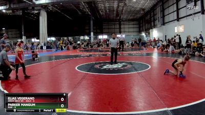 60 lbs Round 5 (6 Team) - Parker Mangum, RAW vs Elias Vegerano, GREAT NECK WC - GOLD