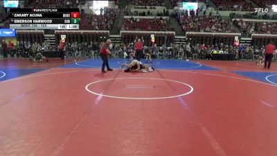 123 lbs Semifinal - Zakary Acuna, Darkhorse Wrestling Club vs Emerson Harwood, Black Hills Wrestling Academy