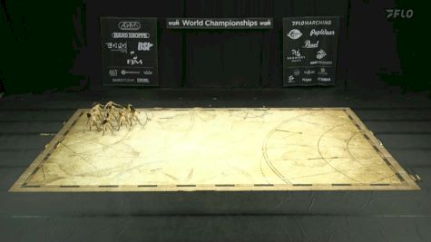 Franklin HS WG "Franklin OH" at 2024 WGI Color Guard World Championships