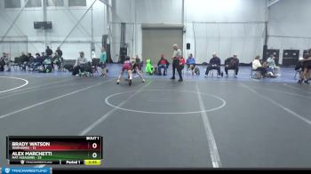 84 lbs Finals (2 Team) - Brady Watson, Warhawks vs Alex Marchetti, Mat Assassins