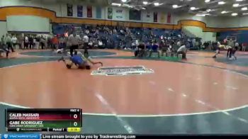 133 lbs Champ. Round 1 - Gabe Rodriguez, Concordia University (WI) vs Caleb Massari, Buena Vista University