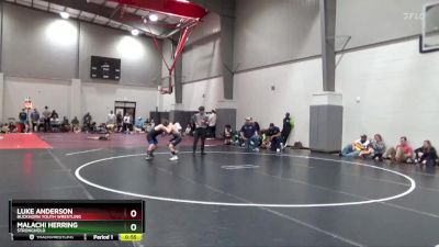 90 lbs Quarterfinal - Luke Anderson, Buckhorn Youth Wrestling vs Malachi Herring, Stronghold