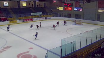 Replay: Home - 2023 Panthers U10 vs Canadiens U10 | Nov 23 @ 1 PM