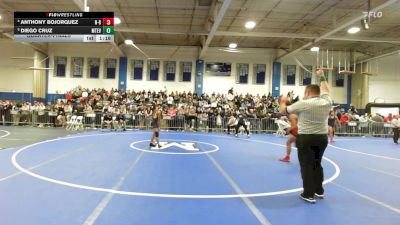 113 lbs Quarterfinal - Anthony BoJorquez, New Bedford vs Diego Cruz, Mount Everett