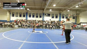 113 lbs Quarterfinal - Anthony BoJorquez, New Bedford vs Diego Cruz, Mount Everett