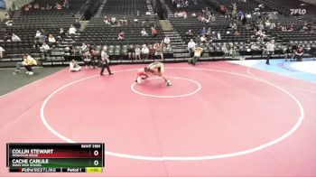 193 lbs Quarterfinal - Cache Carlile, Davis High School vs Collin Stewart, Mountain Ridge