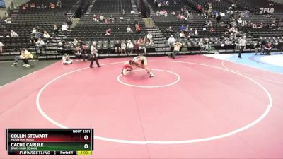193 lbs Quarterfinal - Cache Carlile, Davis High School vs Collin Stewart, Mountain Ridge