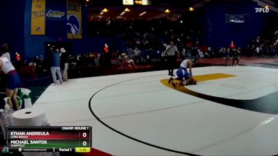 106 lbs Champ. Round 1 - Michael Santos, Chantilly vs Ethan Andreula, Long Beach